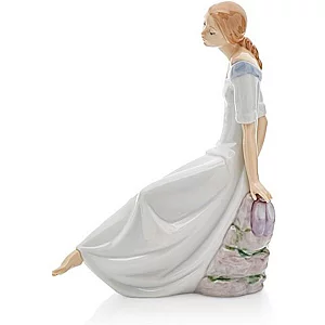 Nao 02001576 Romantic Dreams